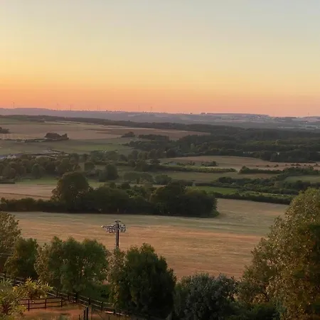 Les Confidences De Messire Sanglier, Stylished