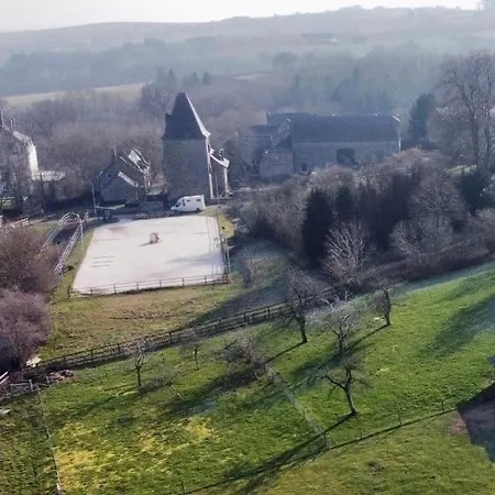 Les Confidences De Messire Sanglier, Stylished * 보랭