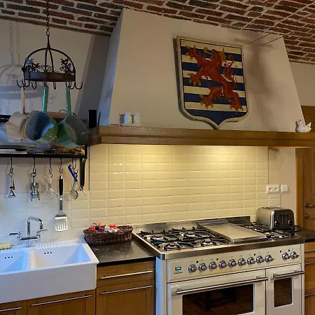 Les Confidences De Messire Sanglier, Stylished *