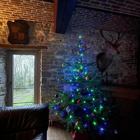 Les Confidences De Messire Sanglier, Stylished * Beauraing