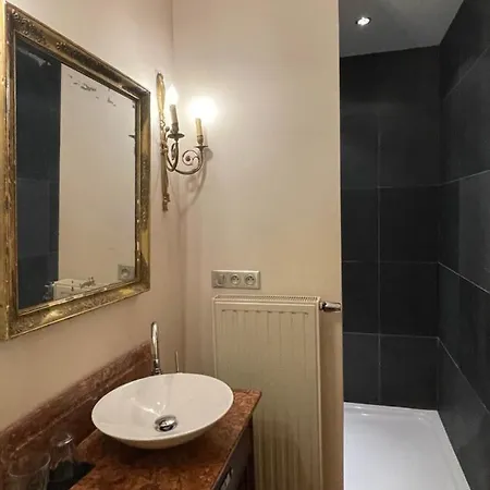 Les Confidences De Messire Sanglier, Stylished * Beauraing