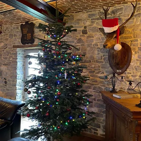 Les Confidences De Messire Sanglier, Stylished *