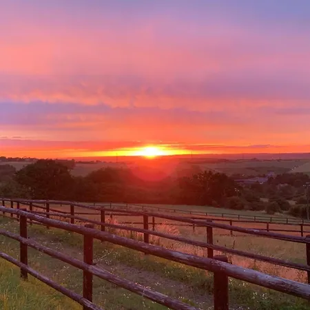 Les Confidences De Messire Sanglier, Stylished * Beauraing