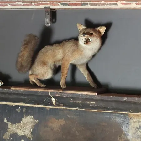 Landhuis Les Confidences De Messire Sanglier, Stylished Beauraing