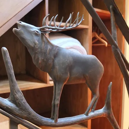 Les Confidences De Messire Sanglier, Stylished