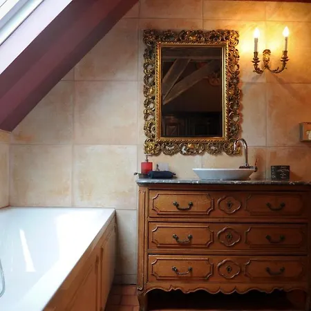 Les Confidences De Messire Sanglier, Stylished Beauraing