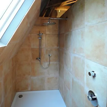 Les Confidences De Messire Sanglier, Stylished