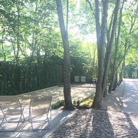 Les Confidences De Messire Sanglier, Stylished Beauraing