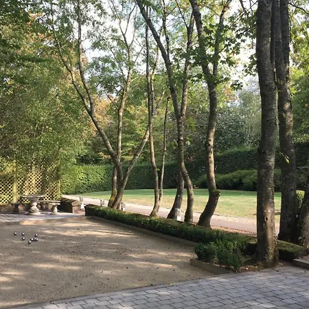 Les Confidences De Messire Sanglier, Stylished *