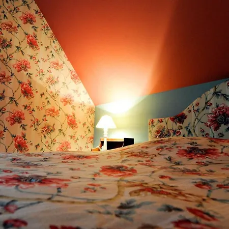 Les Confidences De Messire Sanglier, Stylished 보랭