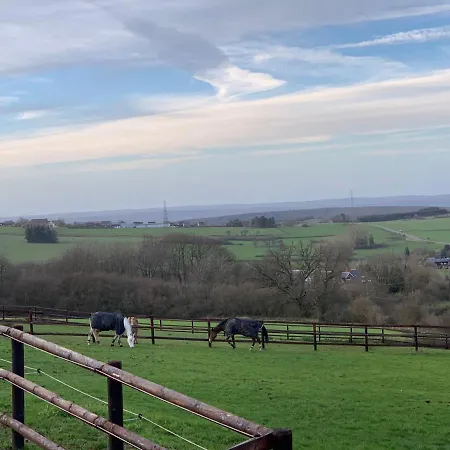 Les Confidences De Messire Sanglier, Stylished *