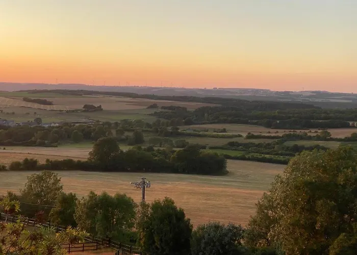 Les Confidences De Messire Sanglier, Stylished