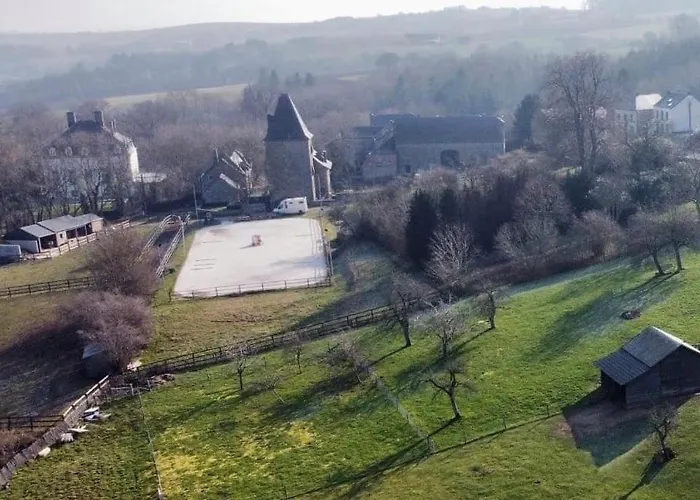 Les Confidences De Messire Sanglier, Stylished * Beauraing