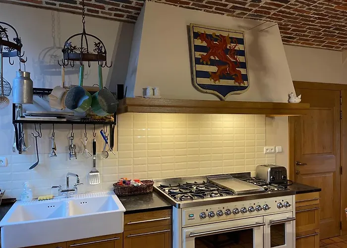 Les Confidences De Messire Sanglier, Stylished *