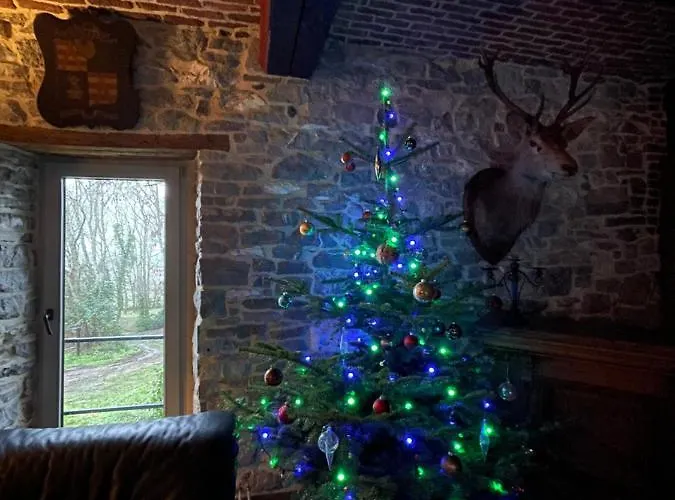 Les Confidences De Messire Sanglier, Stylished * Beauraing