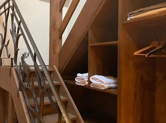 Les Confidences De Messire Sanglier, Stylished Landsted Beauraing