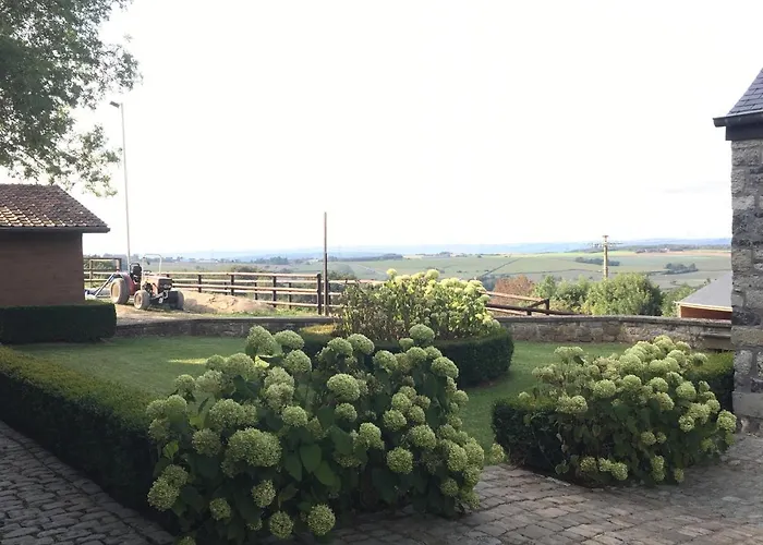 Les Confidences De Messire Sanglier, Stylished Landsted *