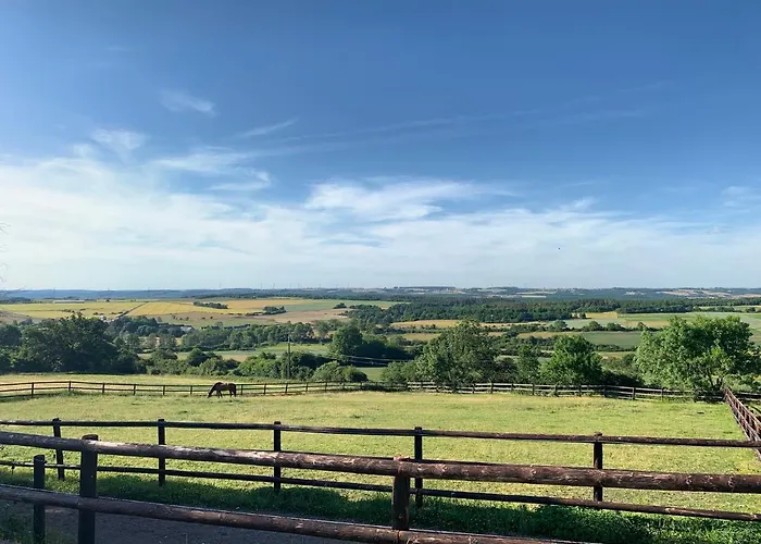 Les Confidences De Messire Sanglier, Stylished Landsted