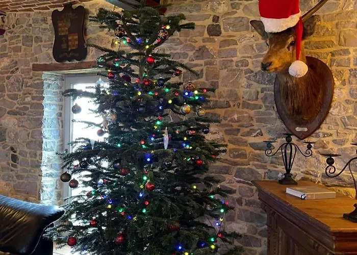 Les Confidences De Messire Sanglier, Stylished *