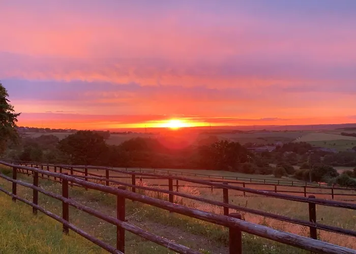 Les Confidences De Messire Sanglier, Stylished * Борен