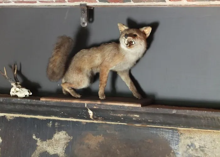 Летний дом Les Confidences De Messire Sanglier, Stylished Борен