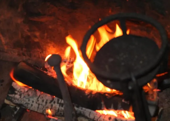 Landsted Les Confidences De Messire Sanglier, Stylished *