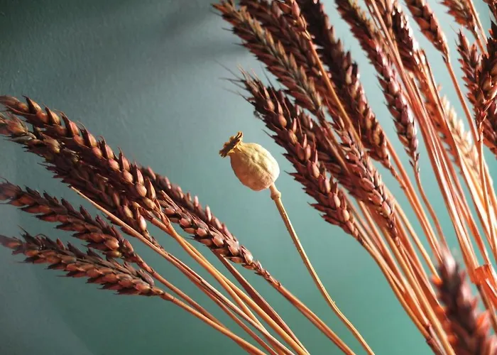 Les Confidences De Messire Sanglier, Stylished Летний дом *