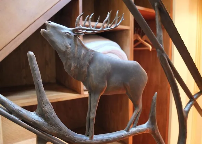 Les Confidences De Messire Sanglier, Stylished