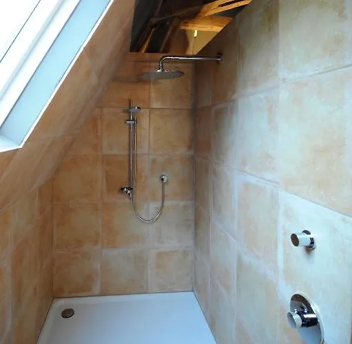 Les Confidences De Messire Sanglier, Stylished