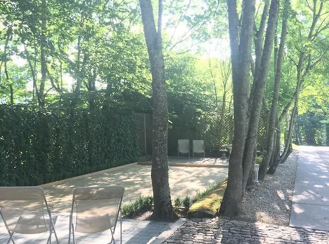 Les Confidences De Messire Sanglier, Stylished Beauraing