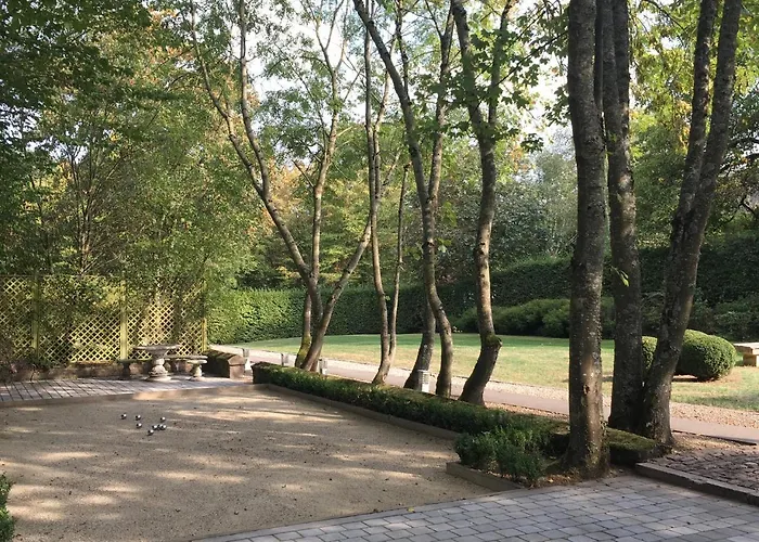 Les Confidences De Messire Sanglier, Stylished *