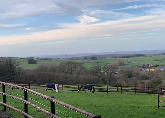 Les Confidences De Messire Sanglier, Stylished *